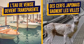 une_nature_gagne_ville