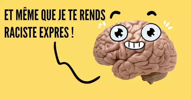 cerveau