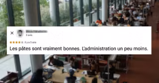 top avis universités 2