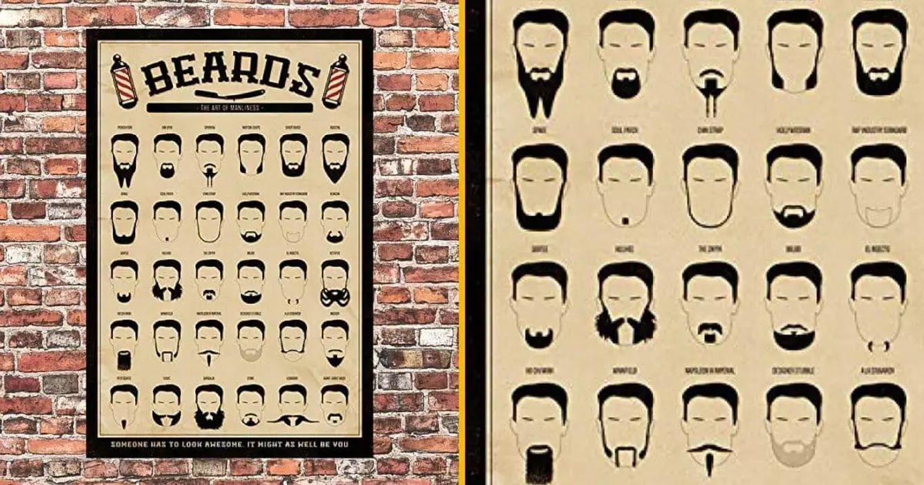 poster-differents-types-barbes (2)
