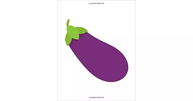 carnet-aubergine