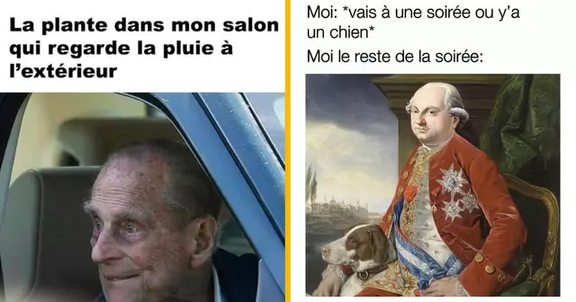 top memes semaine 10