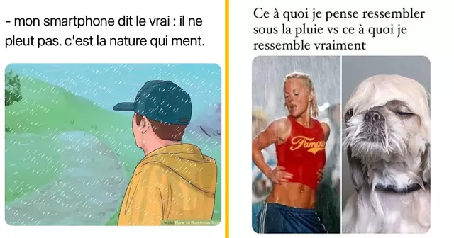 top memes pluie