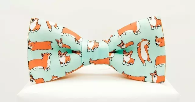 noeud-papillon-corgi