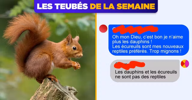 UNE_TOPITO_teubes-ecureuil