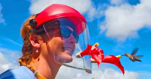 casque nourrir colibris