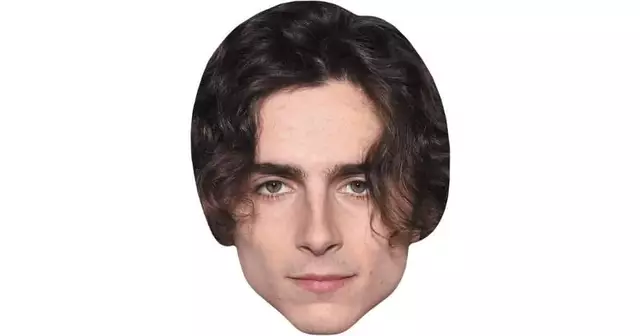 masque-timothee-chalamet