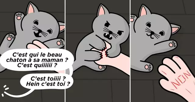 UNE_REDAC_chaton (1)