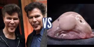 battle-342483-1418164796