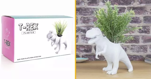 t-rex-pot-fleur