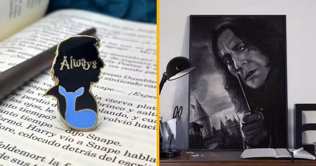 UNE_SHOPPING_CADEAU_SEVERUS_ROGUE