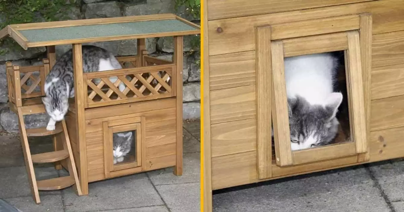 maison-pour-chat