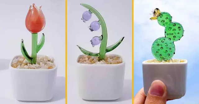 petites-plante-en-verre