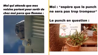 memesemaine68