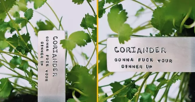 etiquette-anti-coriandre