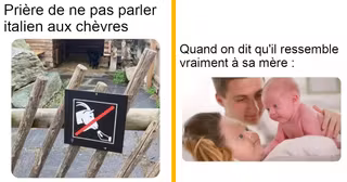 top memes trashcan paul