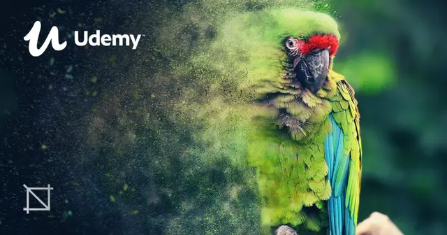 formation-illustrator