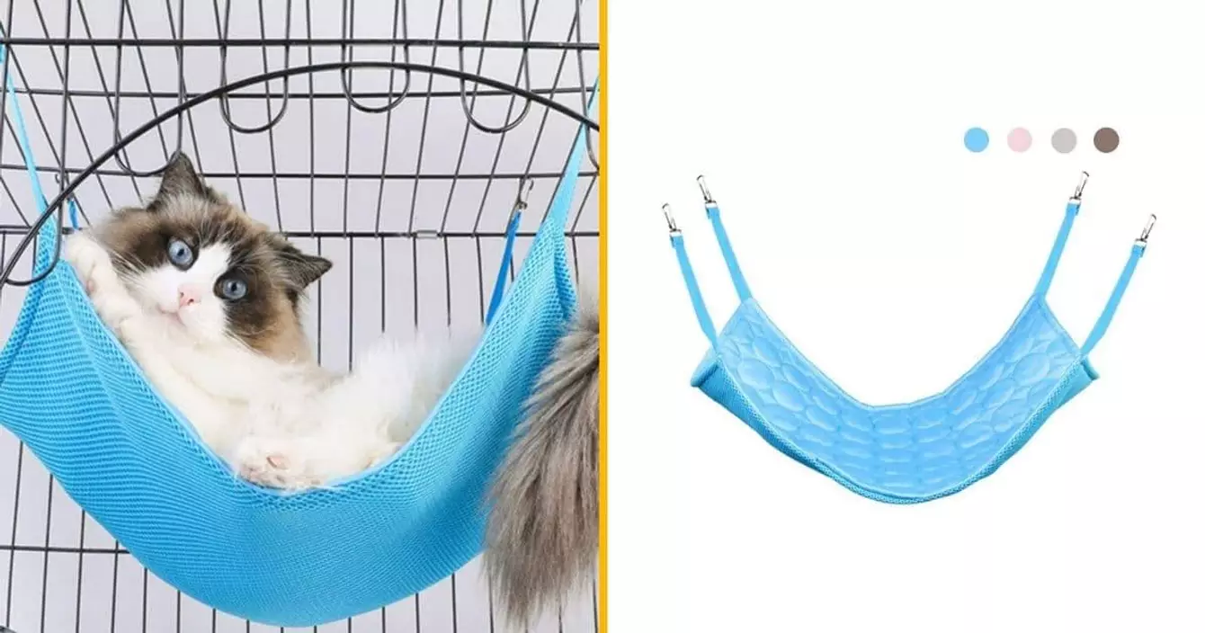 hamac-rafraichissant-lapin