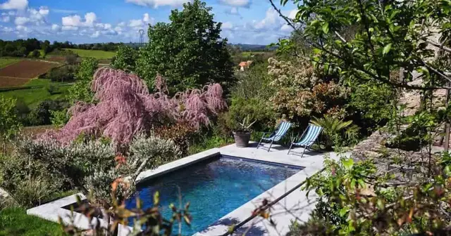 cottage-vigne-piscine-vue