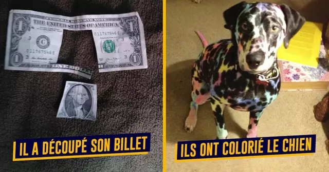 top enfant cauchemar