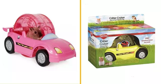 hamster-racer-voiture