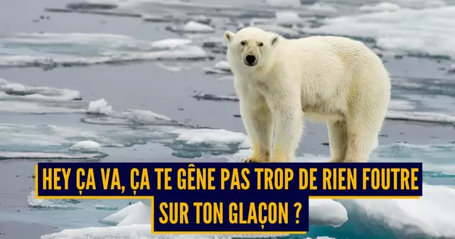 shutterstock_193652336 (1)