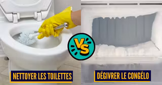 Battle Tache Menageres.jpg