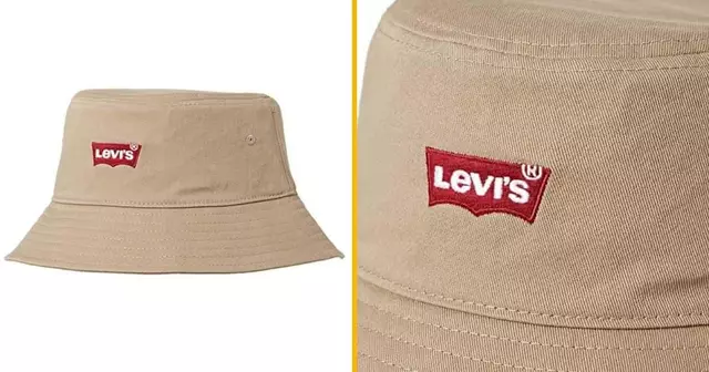bob-levis