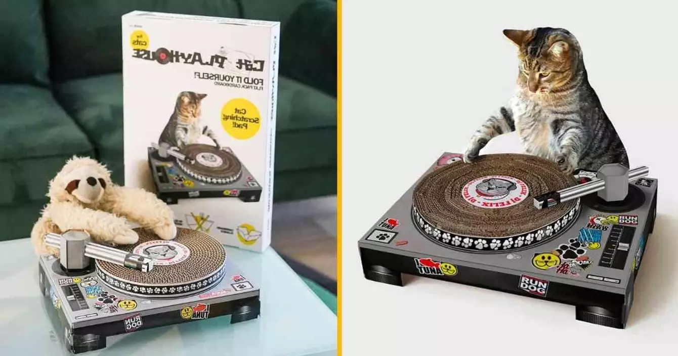 grattoir-platine-dj-chat