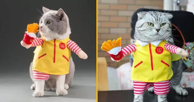 deguisement-chats-mcdonalds