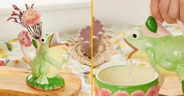 -pichet-crapaud-boire-gosier