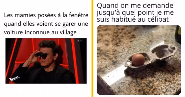 top memes semaine 13