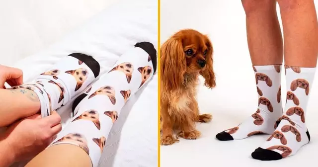 chaussettes-personnalisable-animal