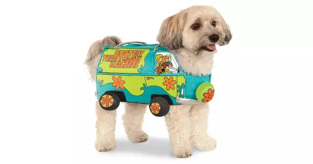 chien-deguisement-van