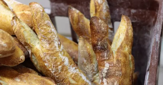 topitruc atelier baguettes lyon