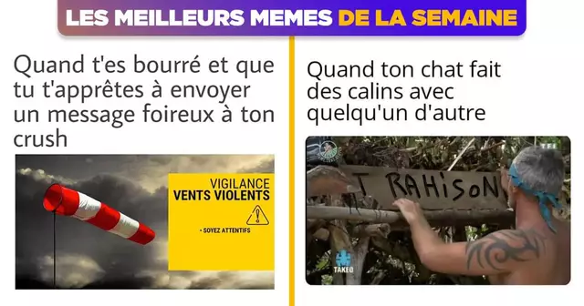 UNE_TOP_MEME_SEMAINE