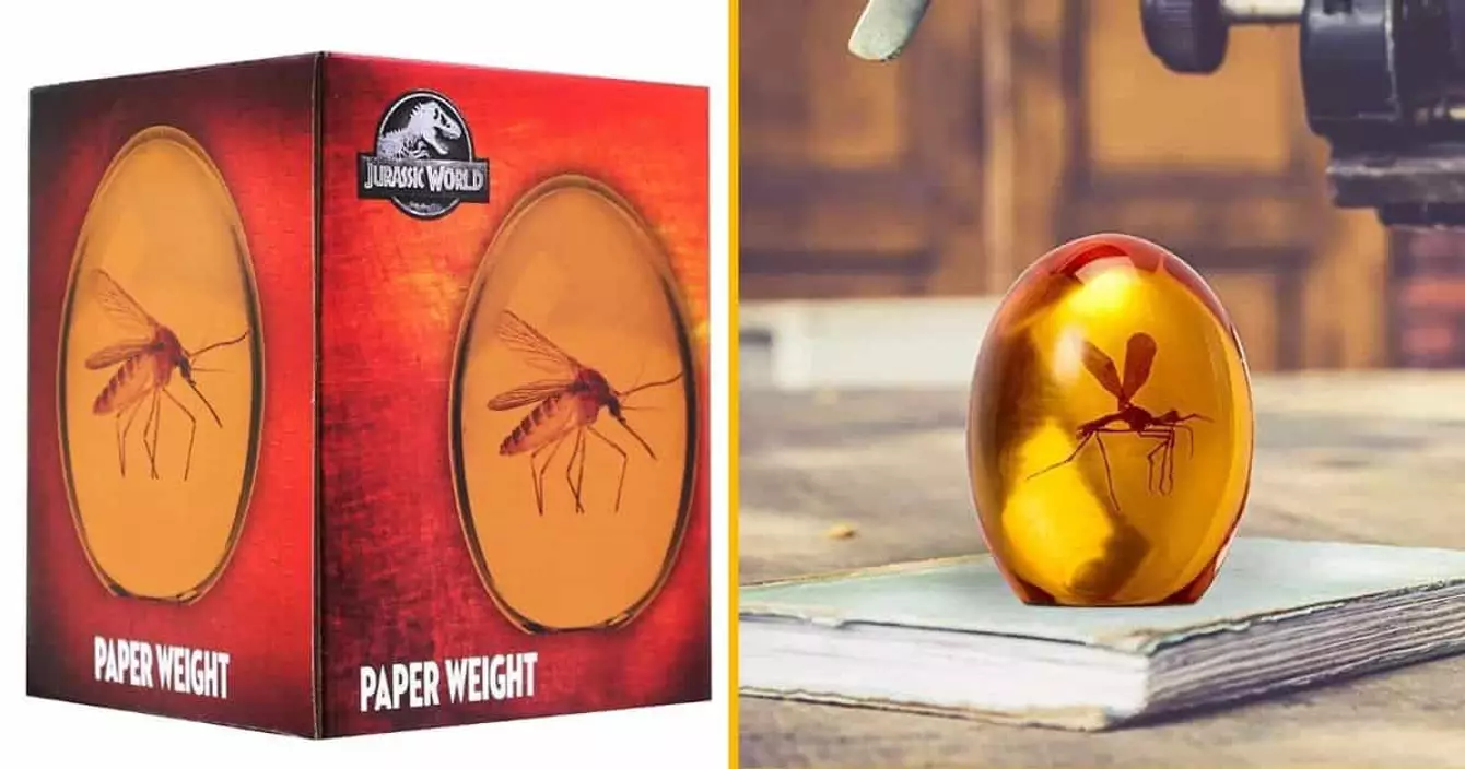 fossile-resine-ambre