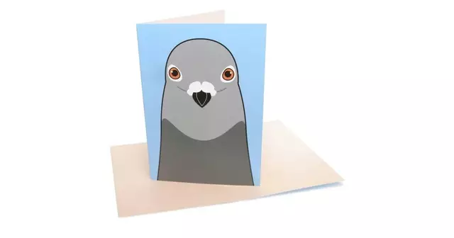 une-belle-carte-de-voeux-pigeonune-belle-carte-de-voeux-pigeon