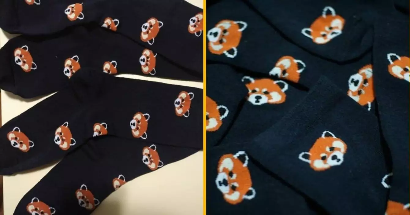 des-chaussettes-panda-roux-a-defaut-de-pouvoir-en-adopter-oui-cest-interdit