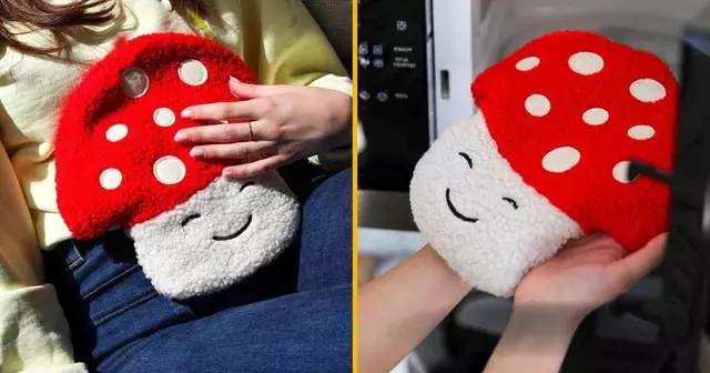 bouillotte-champignon