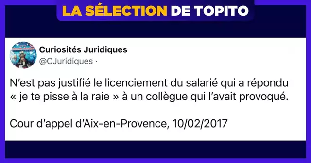 top curiosite juridique