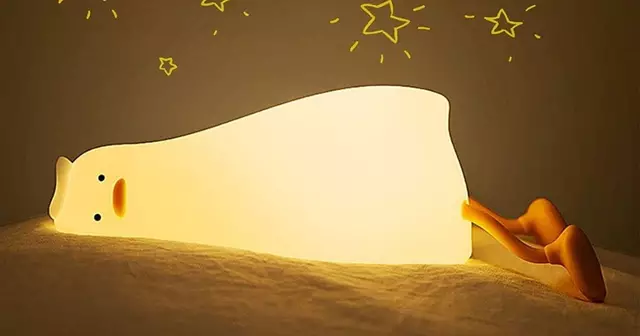 veilleuse-canard-crise-existentielle