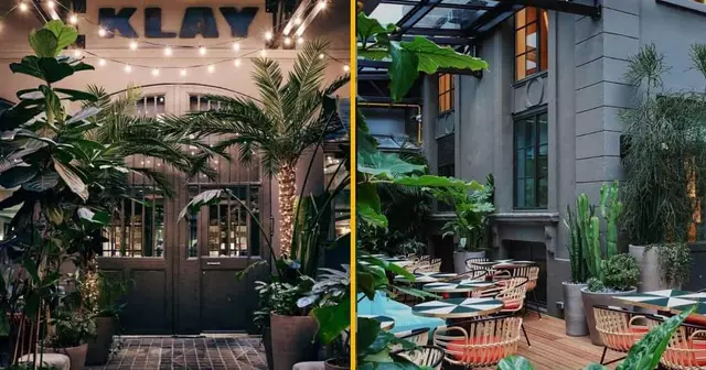 terrasse-vegetalisee-paris-klay-saint-sauveur