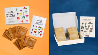 kit-legumes-insolites