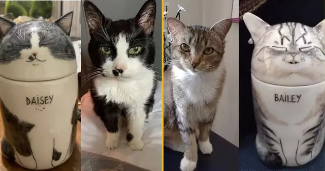 urne-personnalisee-effigie-chat