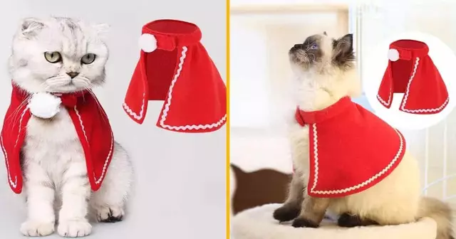 jolie-cape-noel-pour-chat