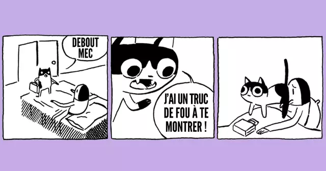 une_strips
