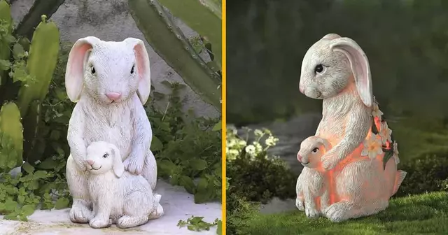 lumiere-solaire-lapin