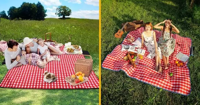 nappe-pique-nique-peau-ours-brigitte-bardot