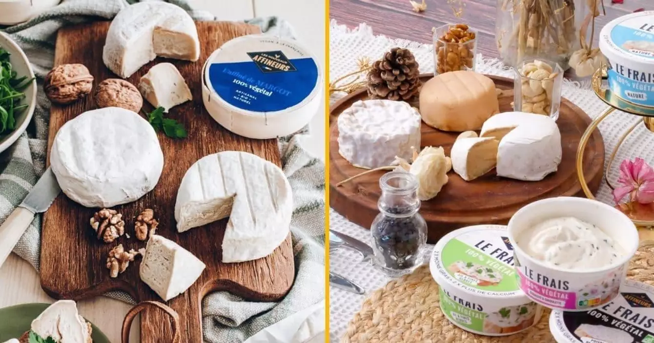 fromages-vegetaux-vegan